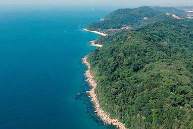 中国足球职业联赛完善赛事突发状况应对机制，中国足球职业联赛正式开始