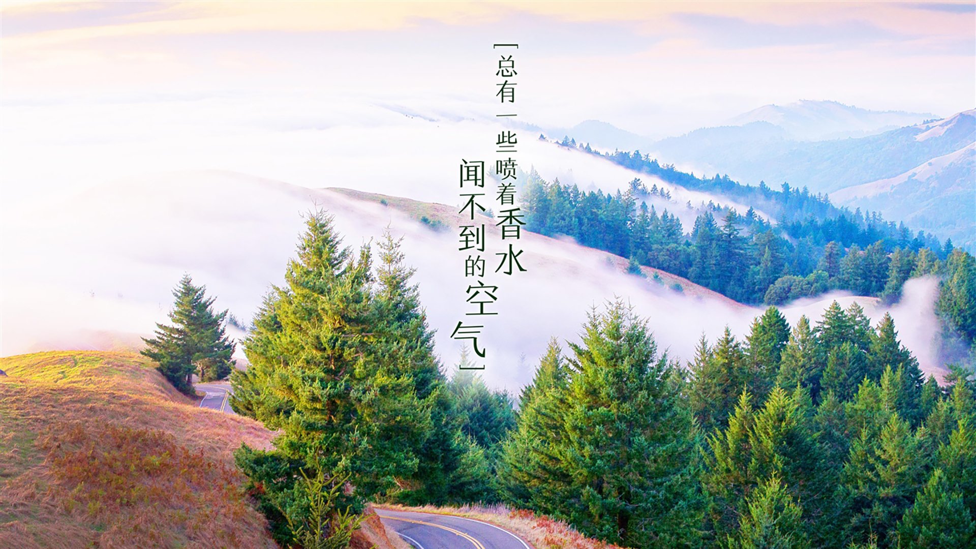 法甲防守战术调整对比赛节奏及犯规率影响的实证，法甲如何