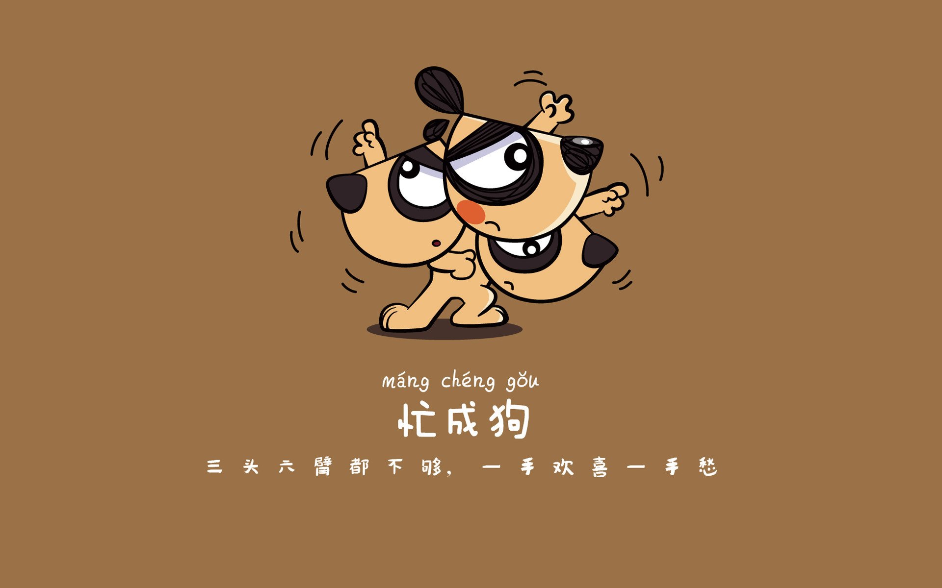 开云娱乐官网-高校体育场馆设施数字化管理系统建设与优化方案，高校体育场馆标准