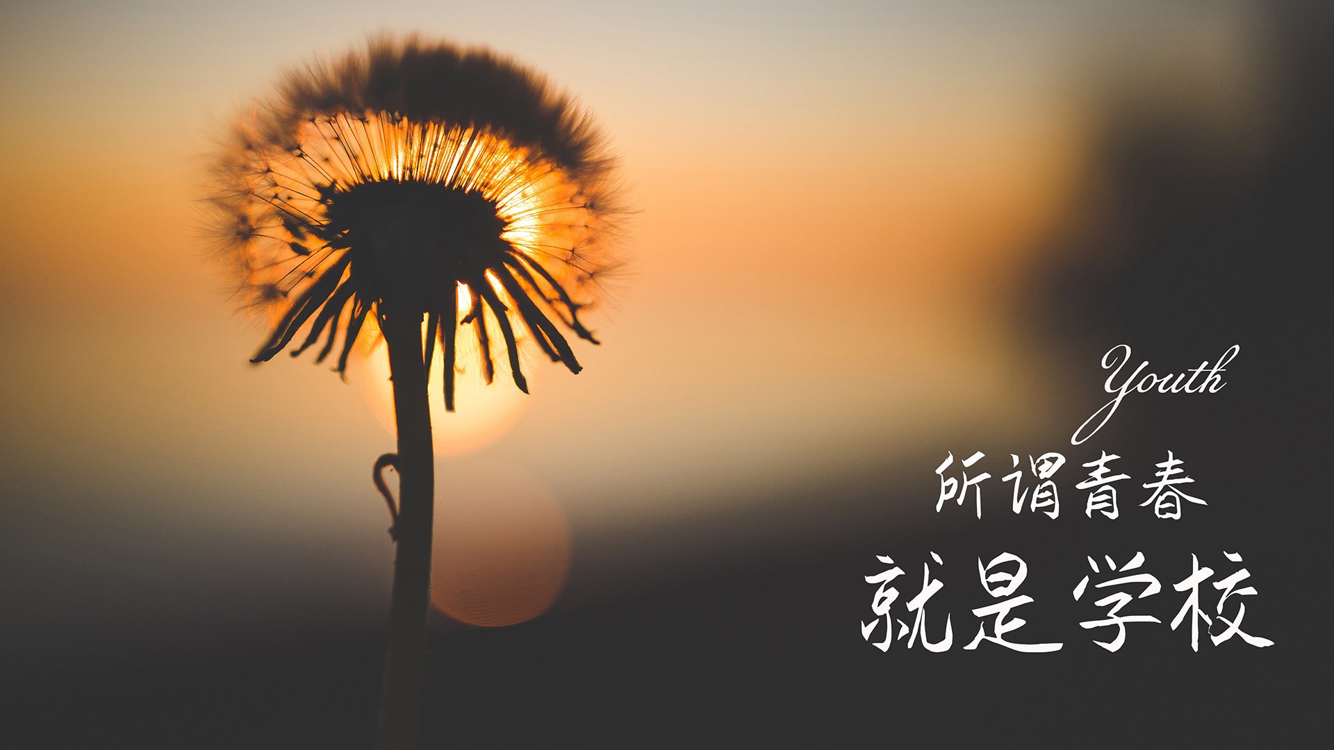 开云真人-中国男篮提高篮板球争夺能力，中国男篮提高篮板球争夺能力的措施