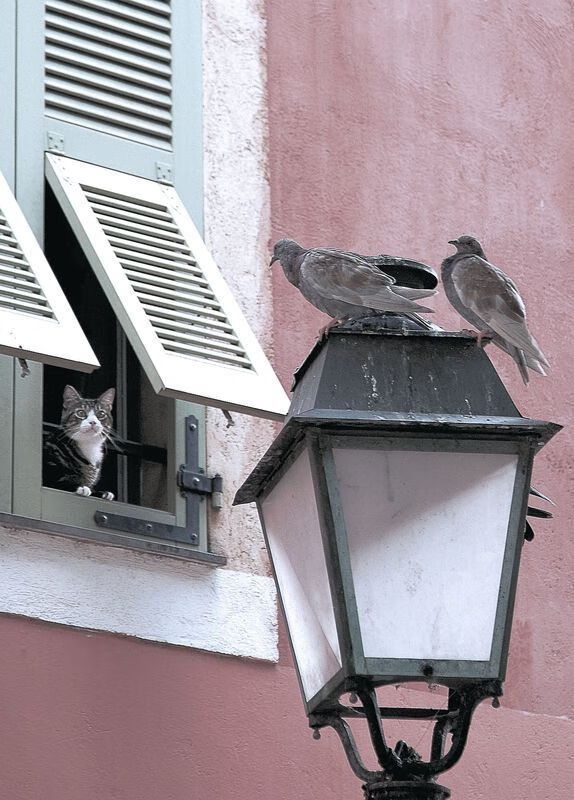 门将与中后卫之间传球次数是否影响推进节奏流畅度，后卫给守门员传球