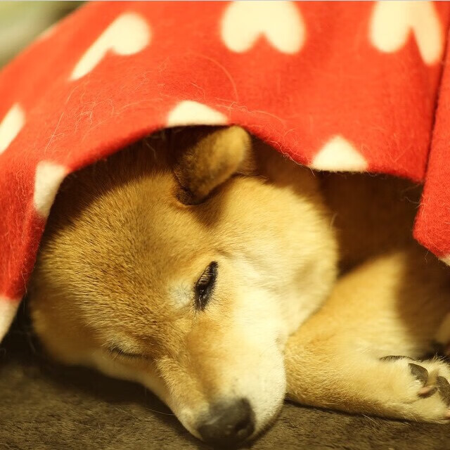 李娜加盟国内青训项目任导师，李娜训练视频