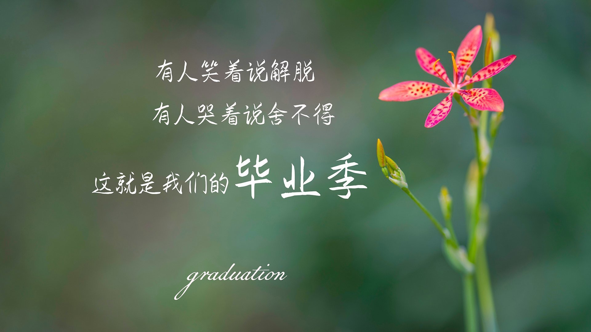 温斯坦奋力一搏 决赛留下高光瞬间，温斯坦莱